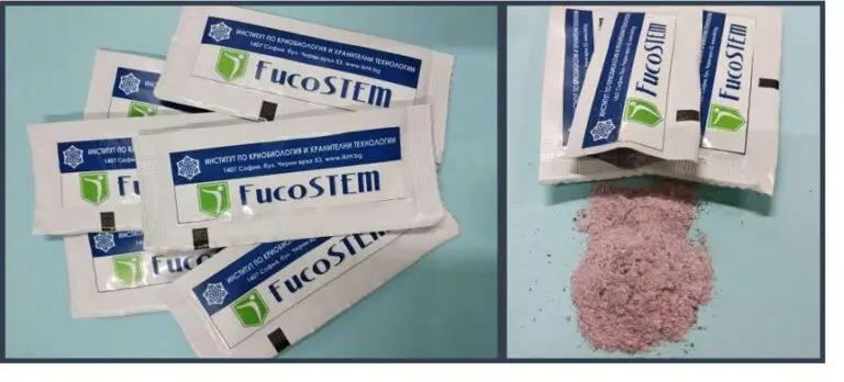 FucoSTEM – сашета